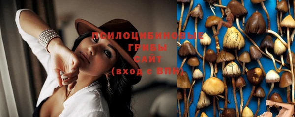 ешки Горно-Алтайск