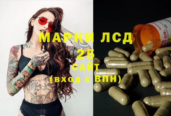 сатива Горнозаводск
