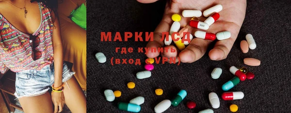 сатива Горнозаводск