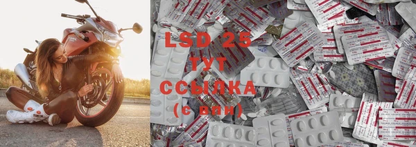 сатива Горнозаводск