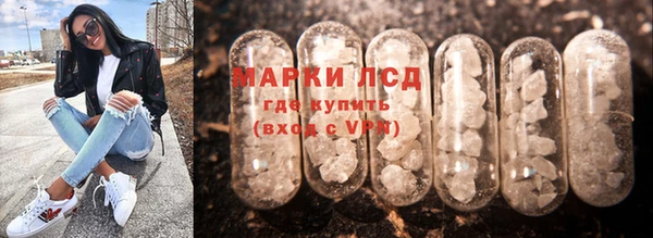 сатива Горнозаводск