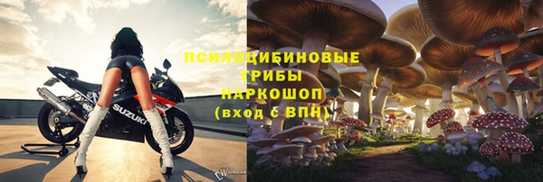 сатива Горнозаводск